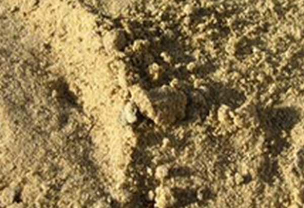 Arena erosionada